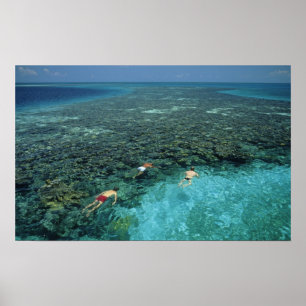 Belise, Barrier Reef, Lighthouse Reef, Blue Poster