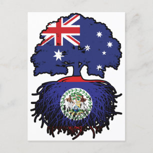 Belise Belizean Australian Australia Tree Roots Postcard
