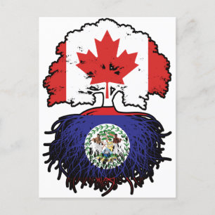 Belise Belizean Canadian Canada Tree Roots Flag Postcard