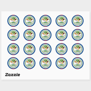 Belise & Belizean flag patriots, holiday / sports Classic Round Sticker