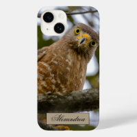 Belise Brown Roadside Hawk Bird Photography