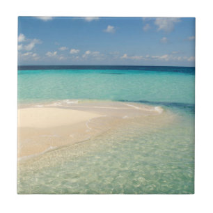 Belise, Caribbean Sea. Goff Caye, A Small Island Ceramic Tile