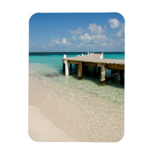 Belise, Caribbean Sea, Goff Caye. A Small Island Magnet