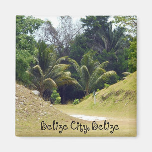 Belise City, Belise Magnet
