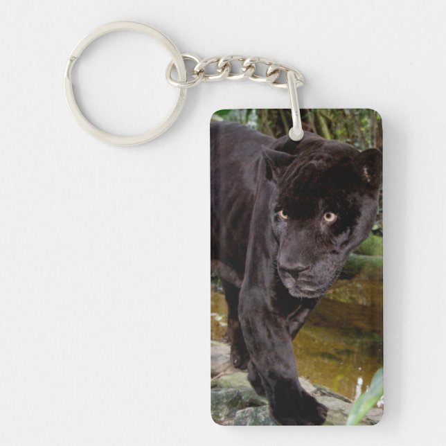 Belise City Zoo. Black panther Key Ring (Front)