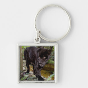Belise City Zoo. Black panther Key Ring