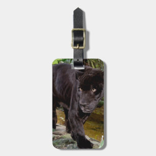 Belise City Zoo. Black panther Luggage Tag