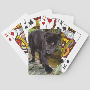 Belise City Zoo. Black panther Playing Cards