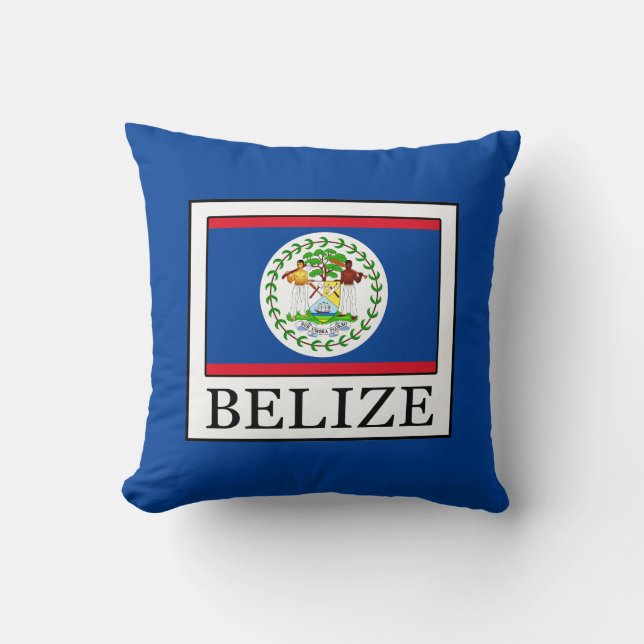 Belise Cushion (Front)