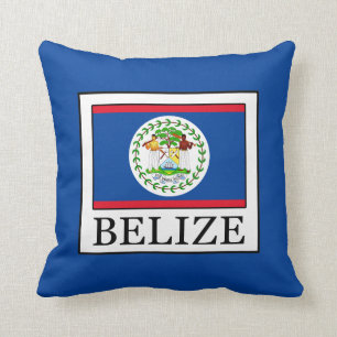 Belise Cushion