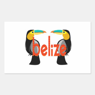 Belise it now rectangular sticker