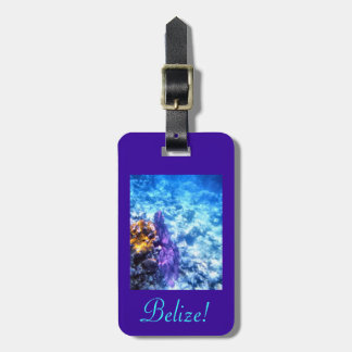 Belise Luggage Tag