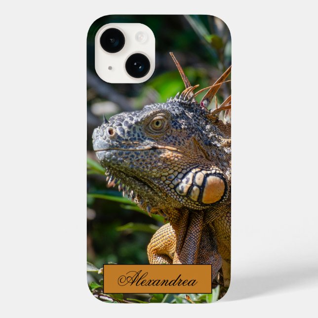 Belise Orange Iguana Lizard Photography Case-Mate iPhone Case (Back)