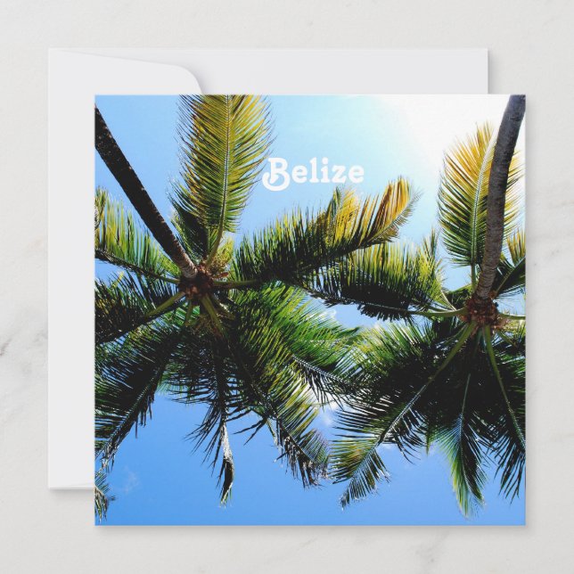 Belise Palm Trees (Front)