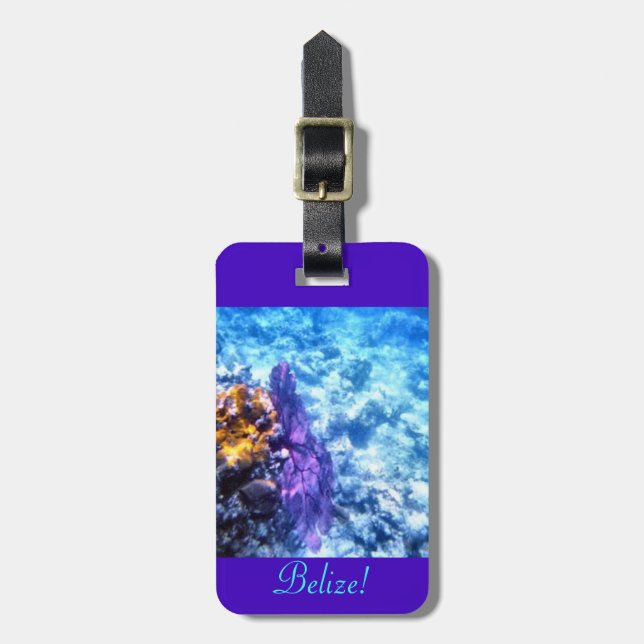 Belise Personalised Luggage Tag (Front Vertical)