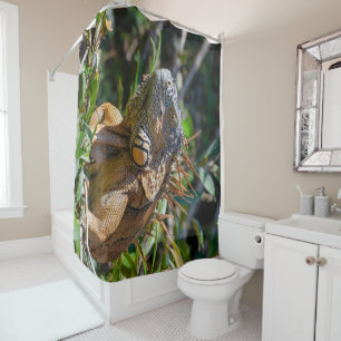 Belise Photography, Iguana Lizard Shower Curtain