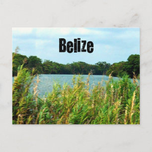 Belise Postcard