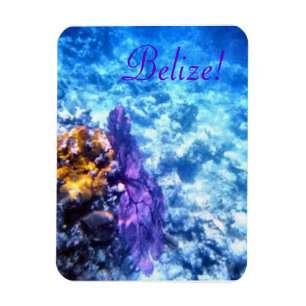 Belise! Purple Sea Fan Premium Magnet