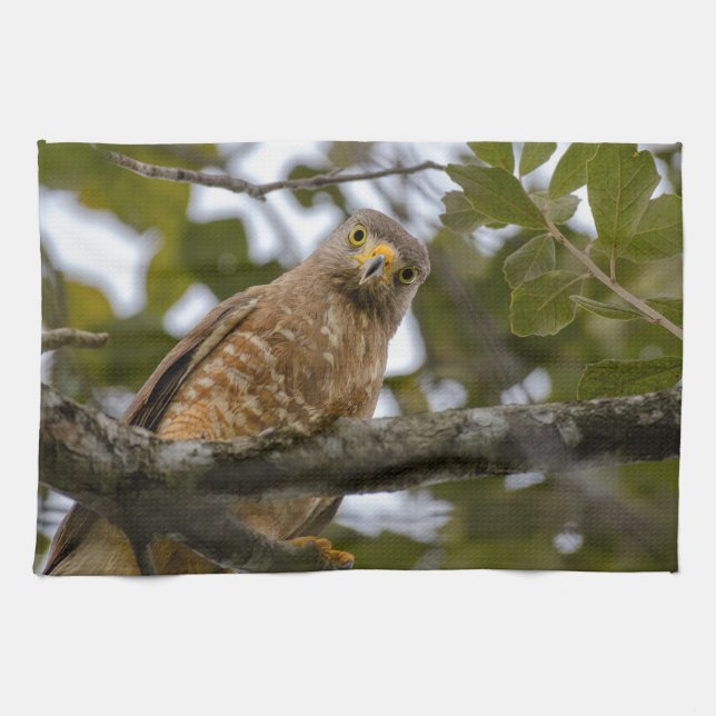 Belise Wildlife: Roadside Hawk Photography Tea Towel (Horizontal)