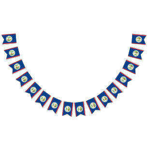 Belize flag bunting banner