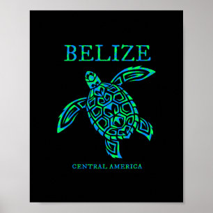 Belize Sea Turtle Retro Boys Girls Womens Vacation Poster