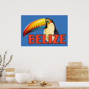 BELIZE Toucan Poster