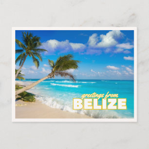 Belize Tropical Beach Palms Retro Vintage Greeting Postcard