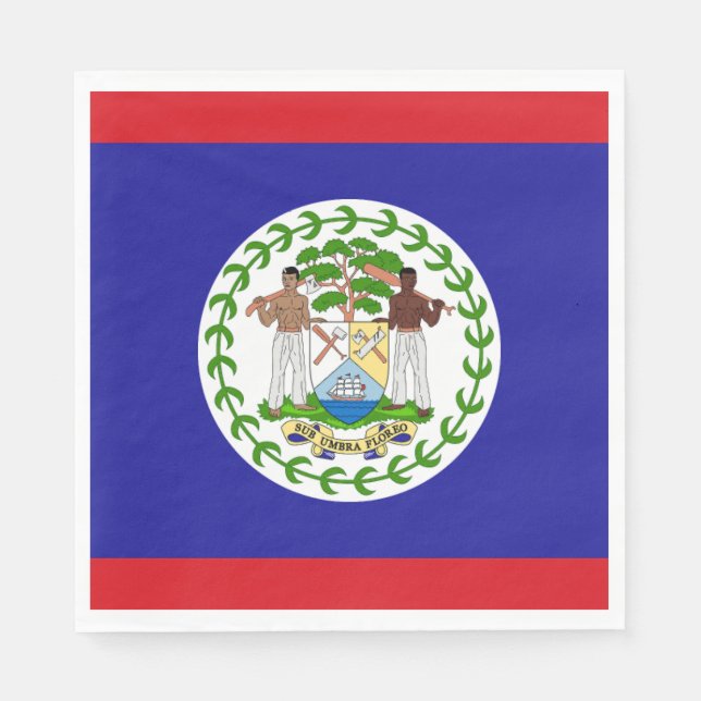 Belizean Flag Napkin (Front)