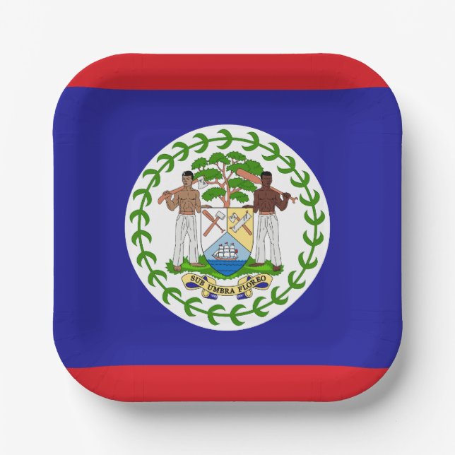 Belizean Flag Paper Plate (Front)