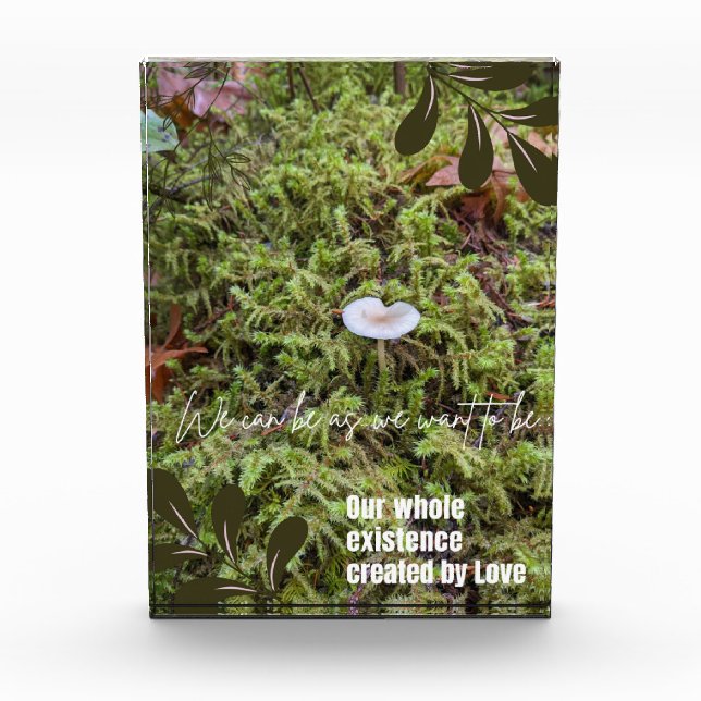 Belknap Mushroom with Quote Photo Block (Front)