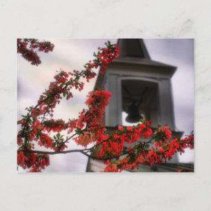 bell flowers the Old Lynchburg Virginia Cemetery Postcard