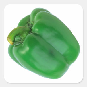 BELL PEPPER (GREEN)  SQUARE STICKER