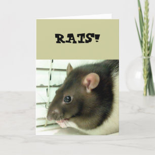 Bell The Rat Get Well Soon Card