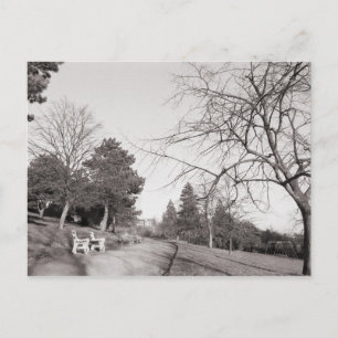 Bell Vue Park, Newport, Mon Postcard