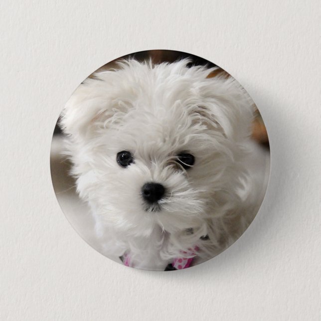 Bella 6 Cm Round Badge (Front)