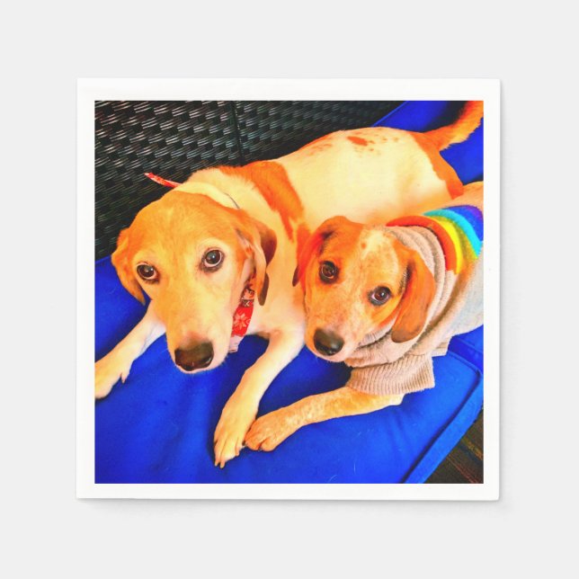  Bella and Luna Napkins by Tamara Diaz Art  (Front)