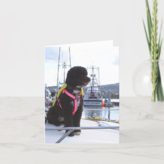 Bella and the Dog Catcher Card