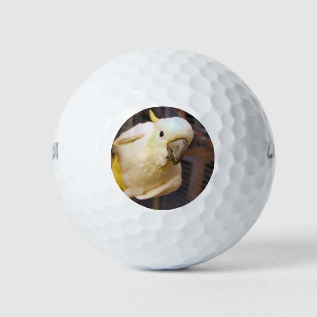 Bella boy golf balls (Front)