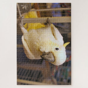 Bella boy jigsaw puzzle