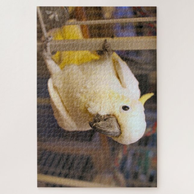 Bella boy jigsaw puzzle (Vertical)