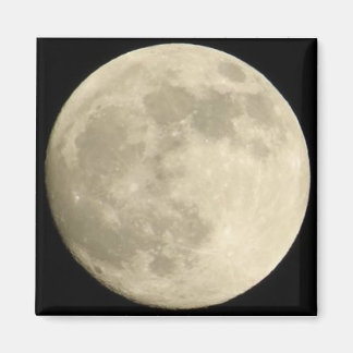 Bella Luna Magnet