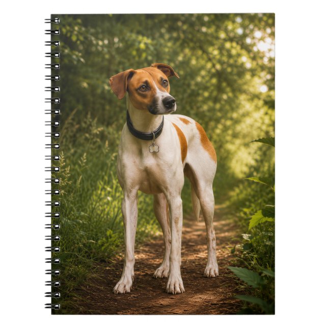 Bella’s Woodland Trail Adventure Notebook (Front)