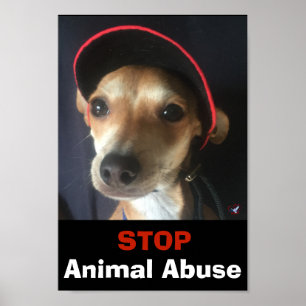 BELLA STOP ANIMAL ABUSE POSTER