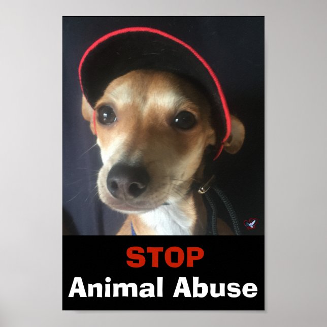 BELLA STOP ANIMAL ABUSE POSTER (Front)