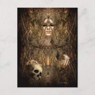 Bella'donna Postcard