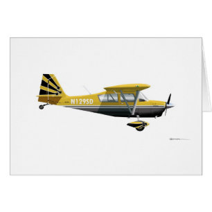 Bellanca Super Decathlon