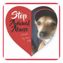 BELLA'S STOP ANIMAL ABUSE STICKER