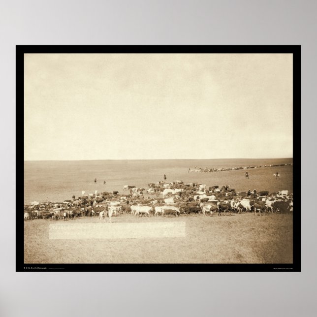 Belle Fouche Cowboy Round-Up SD 1887 Poster (Front)