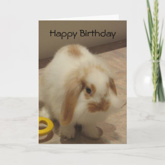 Belle The Rabbit Birthday Card