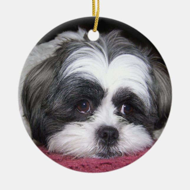 Belle The Shih Tzu Dog Ceramic Tree Decoration (Front)